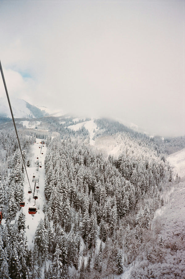 Oi Luci High Altitude Skincare | Made in Park City, Utah | Photo by Mollie Morgan