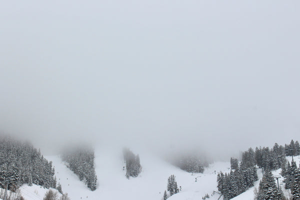Oi Luci High Altitude Skincare | Made in Park City, Utah | Photo by Scott Greer